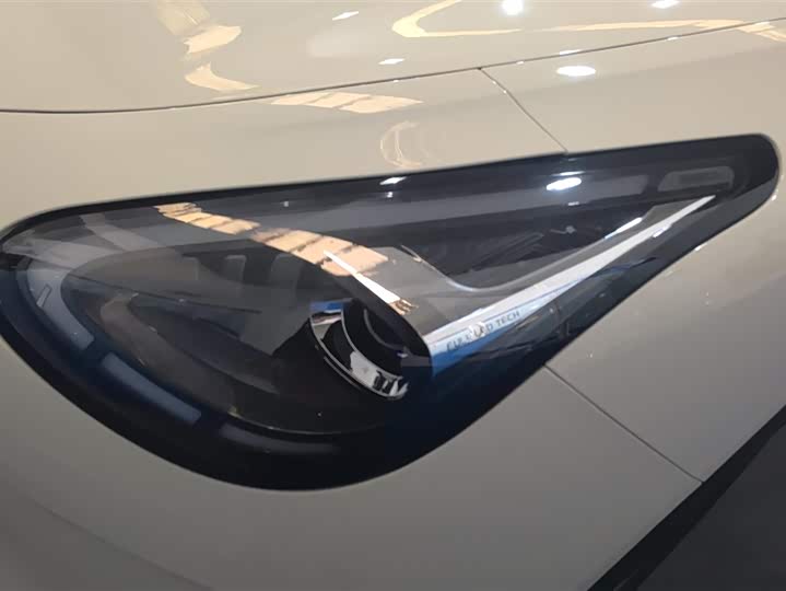 Geely Galaxy Geome 2025 2025款 310km 梦想版