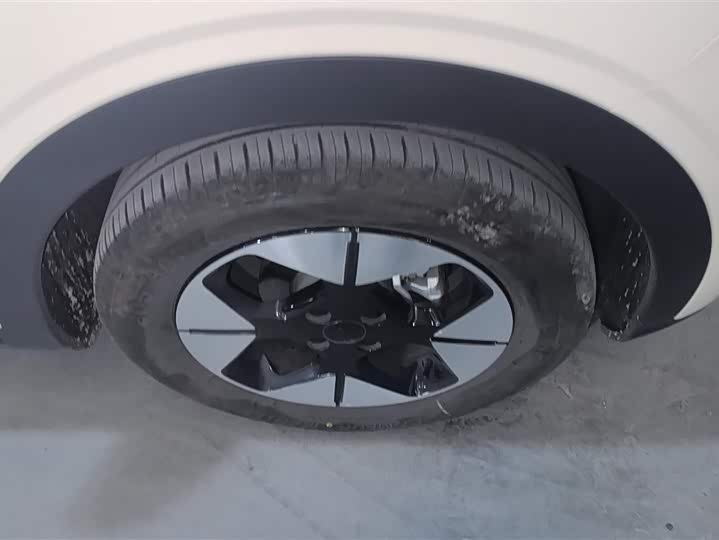 Geely Galaxy Geome 2025 2025款 310km 梦想版