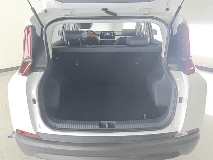 Bestune NAT 2023 2023款 PRO 舒享出行版 419km