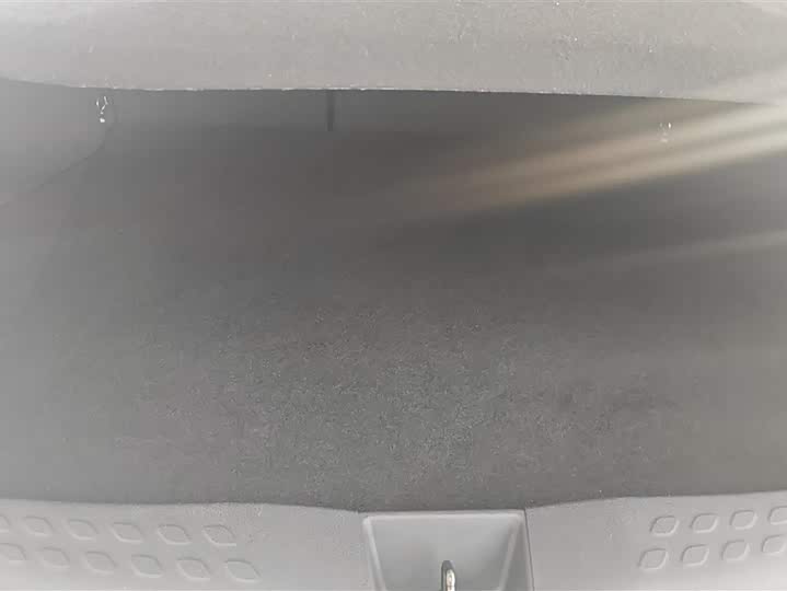 Toyota Izoa 2021 2021款 双擎 2.0L 奕享版