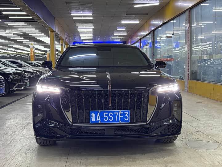 Hongqi H9 2024 2024款 2.0T 旗享 私享风尚版