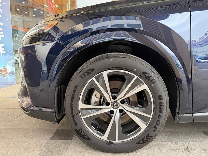 Lexus RX 2023 2023款 350h 两驱舒享版