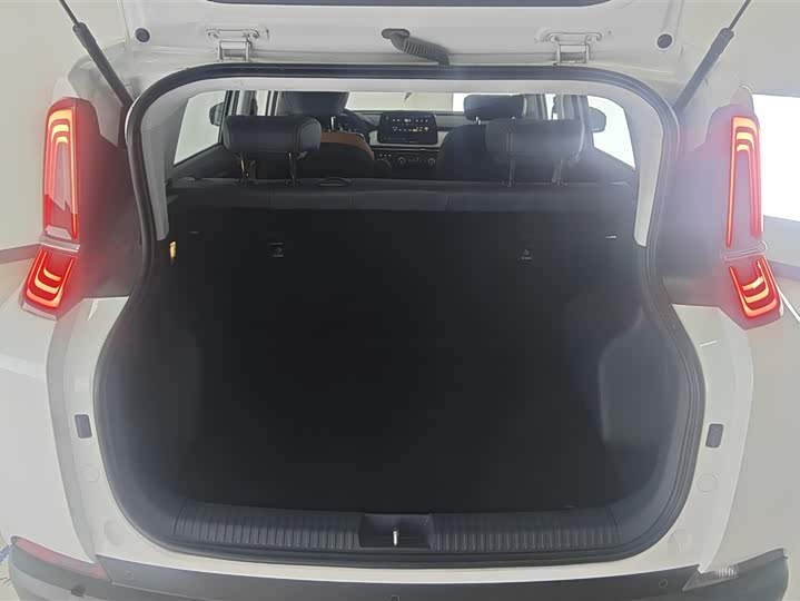 Bestune NAT 2023 2023款 PRO 舒享出行版 419km