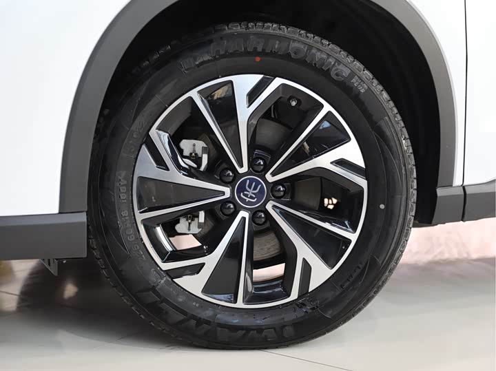 BYD Song Pro Hybrid 2025 2025款 第二代 DM-i 115KM超越型