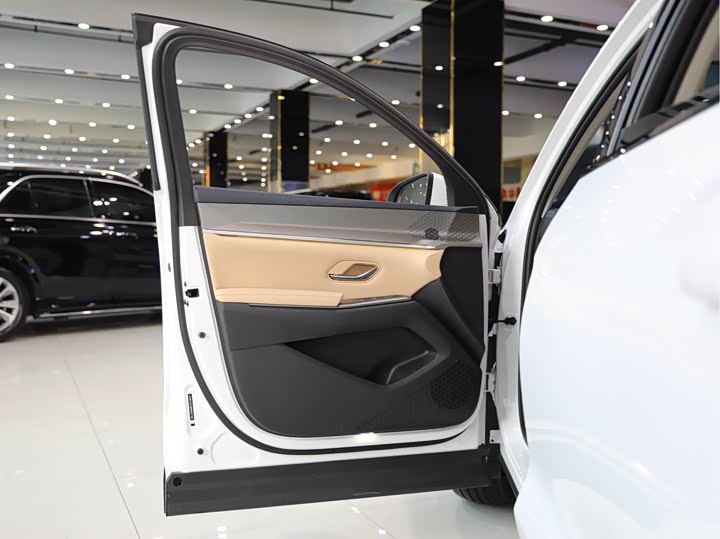 BYD Song Pro Hybrid 2025 2025款 第二代 DM-i 115KM超越型