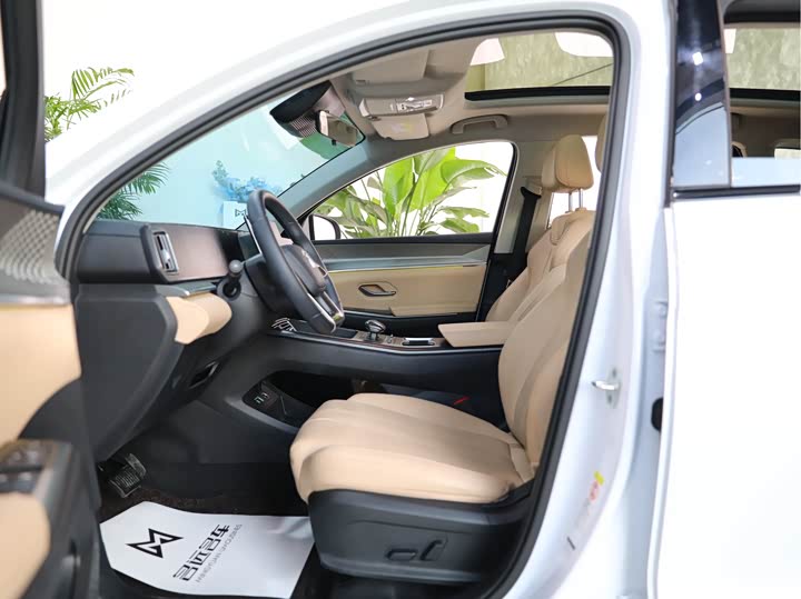 BYD Song Pro Hybrid 2025 2025款 第二代 DM-i 115KM超越型