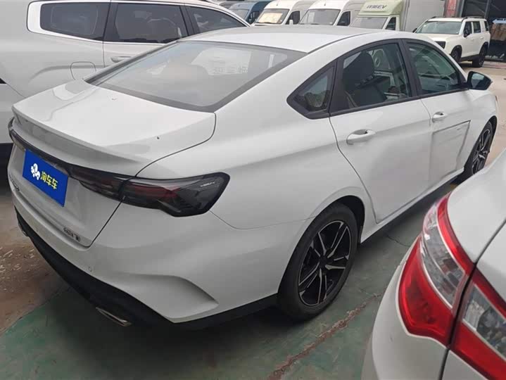2024 Geely Binrui