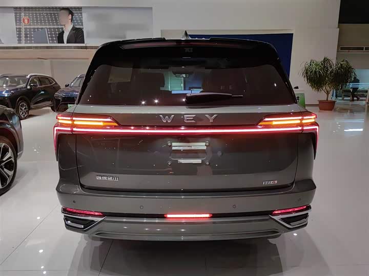 Wey Lanshan 2025 2025款 四驱智驾 Max