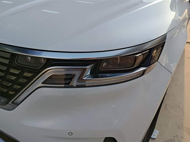 Kia Carnival 2021 2021款 2.0T 旗舰版
