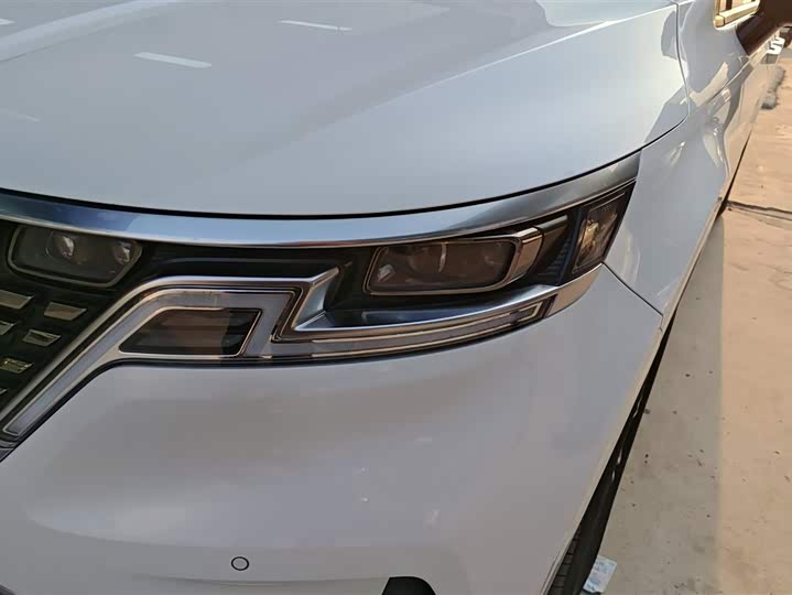 Kia Carnival 2021 2021款 2.0T 旗舰版