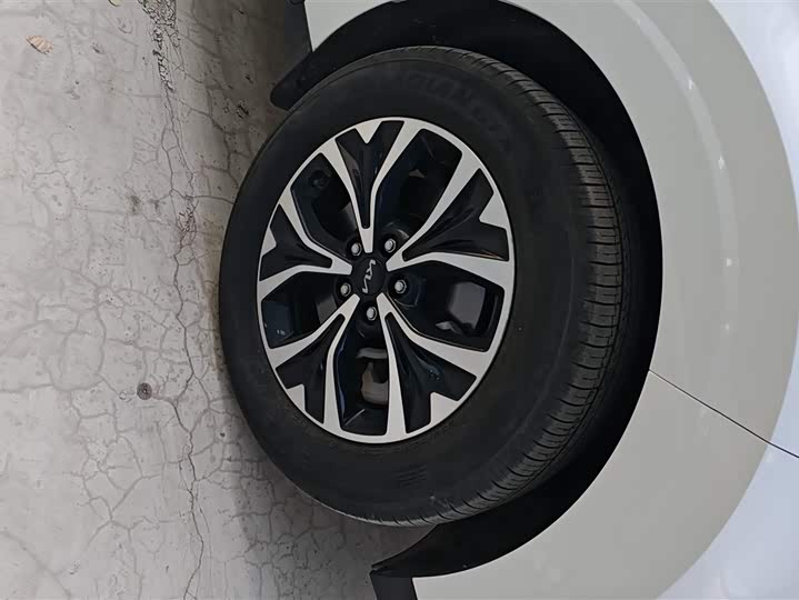 Kia Carnival 2021 2021款 2.0T 旗舰版