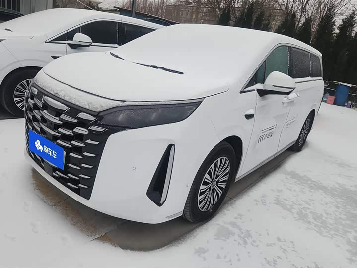 BYD Xia 2025 2025款 DM-i 1.5T 180km 超越型