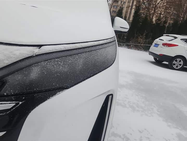 BYD Xia 2025 2025款 DM-i 1.5T 180km 超越型