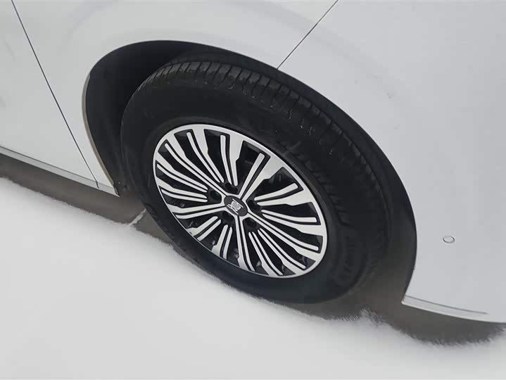 BYD Xia 2025 2025款 DM-i 1.5T 180km 超越型