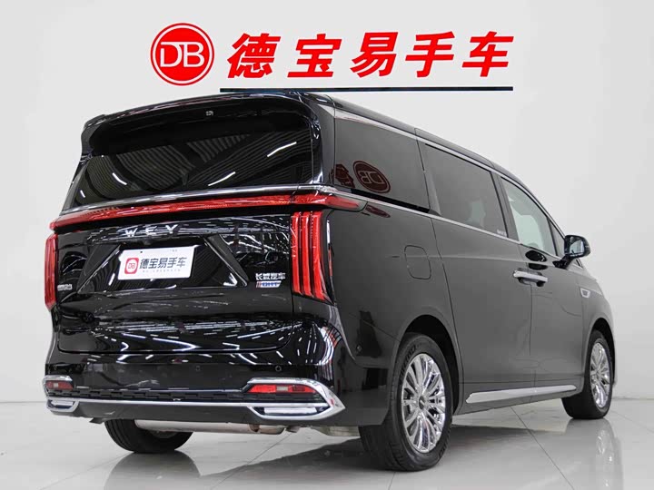 Wey Gaoshan 2023 2023款 四驱旗舰版