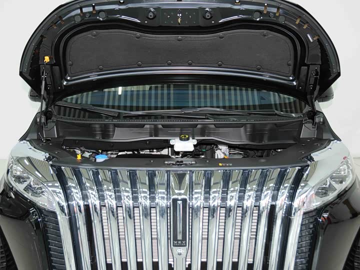 Wey Gaoshan 2023 2023款 四驱旗舰版