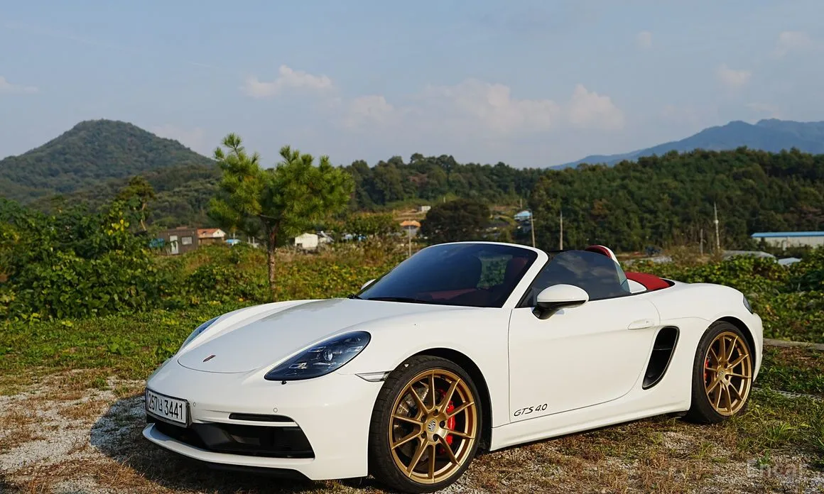 Porsche 718 2016 4.0 GTS