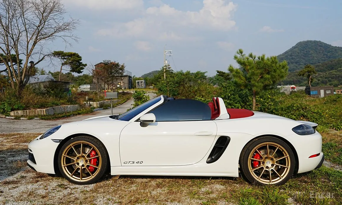 Porsche 718 2016 4.0 GTS