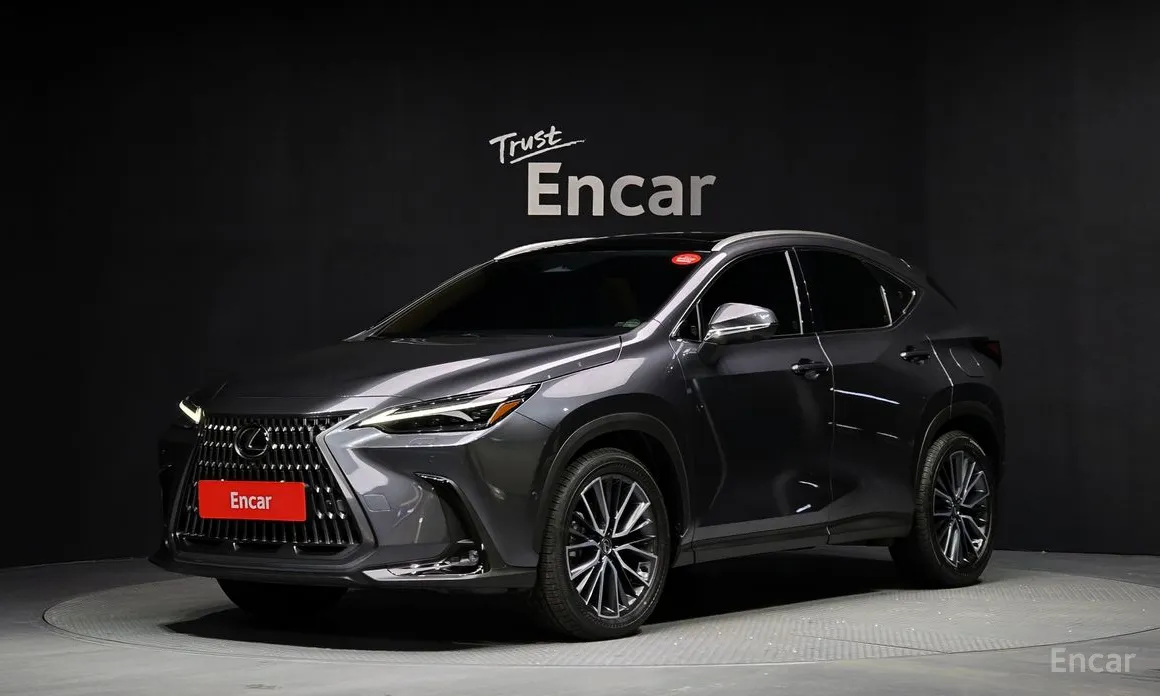 Lexus NX 2022 Luxury