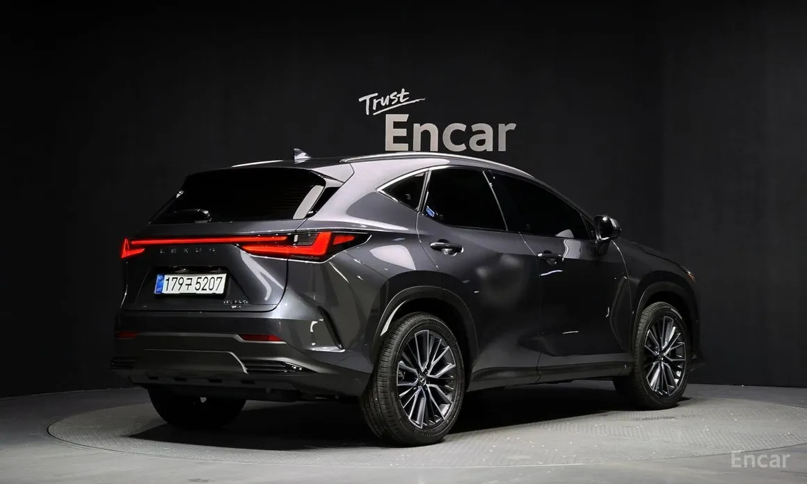 Lexus NX 2022 Luxury