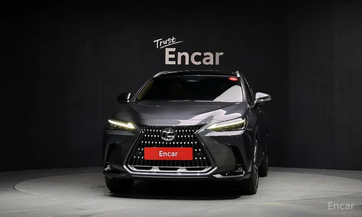 Lexus NX 2022 Luxury