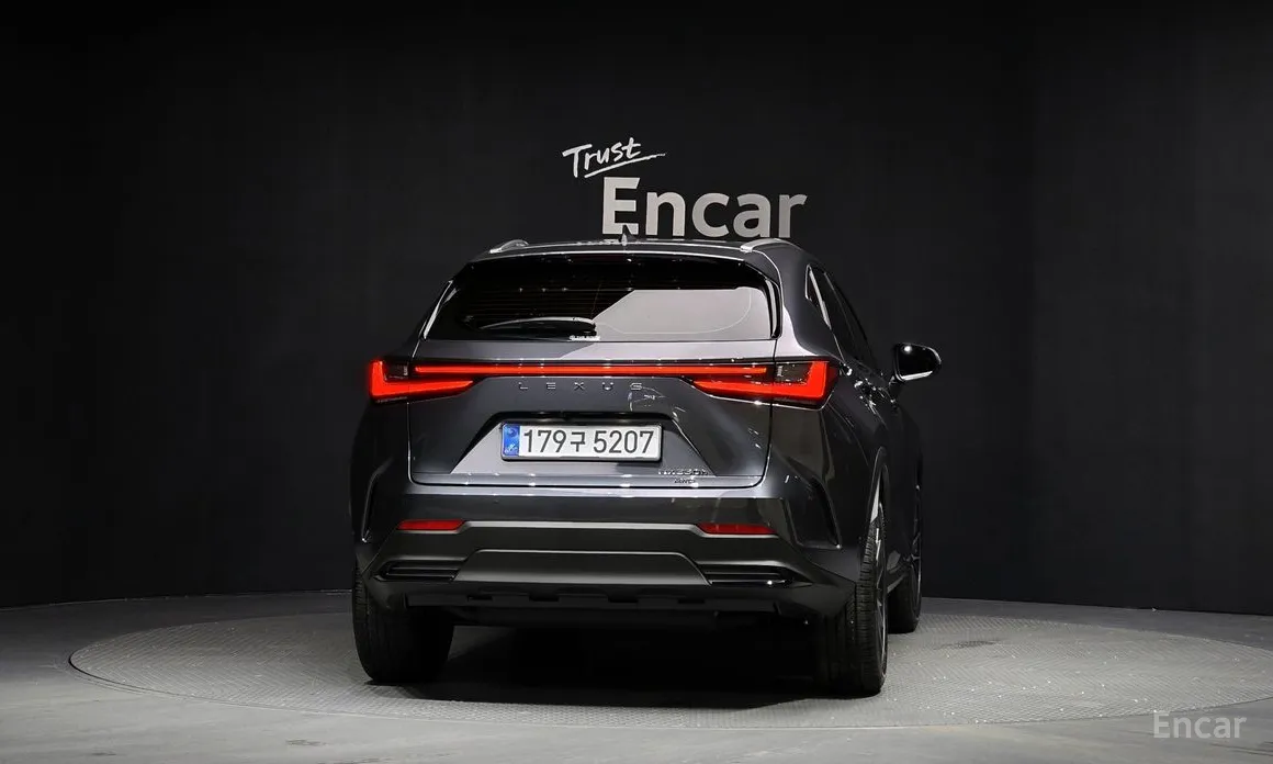 Lexus NX 2022 Luxury