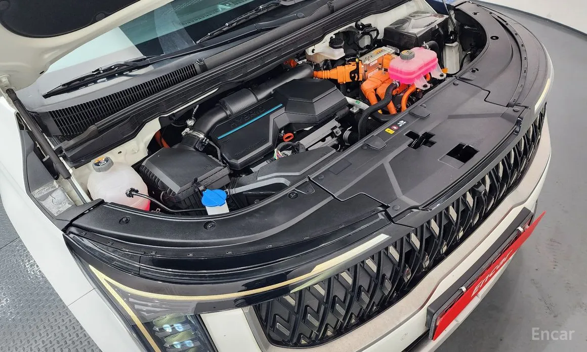 Kia Carnival 2023 HEV 9seater Nobless