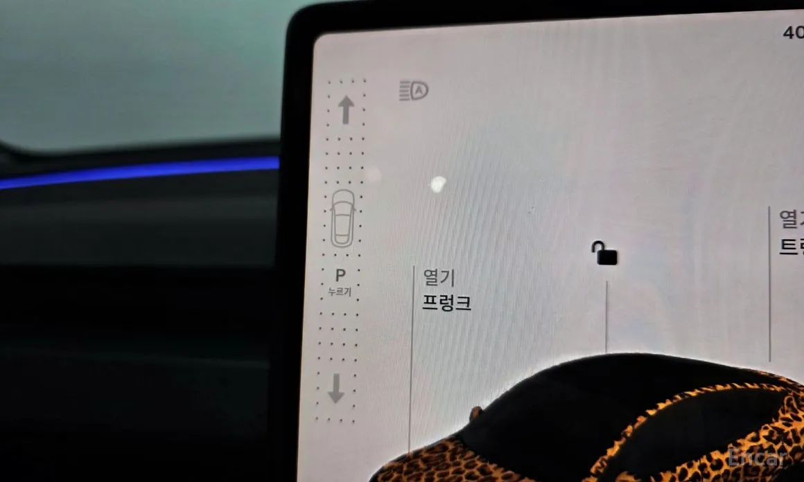 Tesla Model Y 2020 RWD