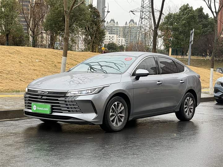 BYD Destroyer 05 2024 2024款 荣耀版 DM-i 55KM 豪华型