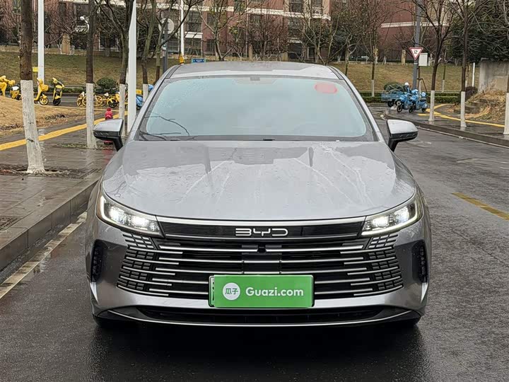 BYD Destroyer 05 2024 2024款 荣耀版 DM-i 55KM 豪华型