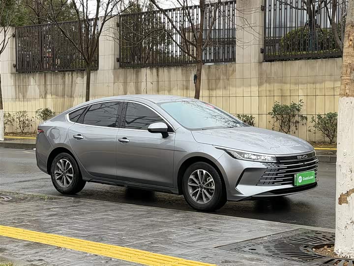 BYD Destroyer 05 2024 2024款 荣耀版 DM-i 55KM 豪华型