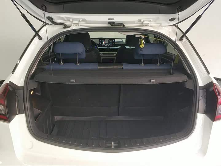 Geely Geometry EX3 2021 2021款 功夫牛牛