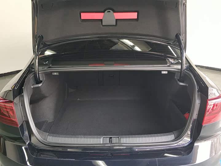 Volkswagen Magotan 2025 2025款 众享款 330TSI DSG豪华型