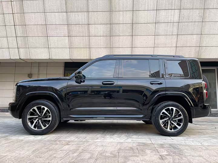 Haval H9 2024 2024款 2.4T 柴油四驱极境版