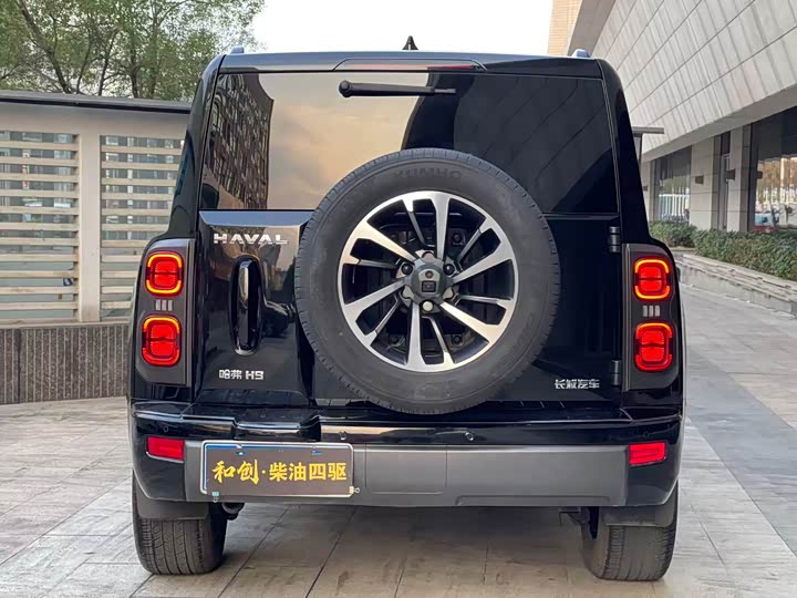 Haval H9 2024 2024款 2.4T 柴油四驱极境版