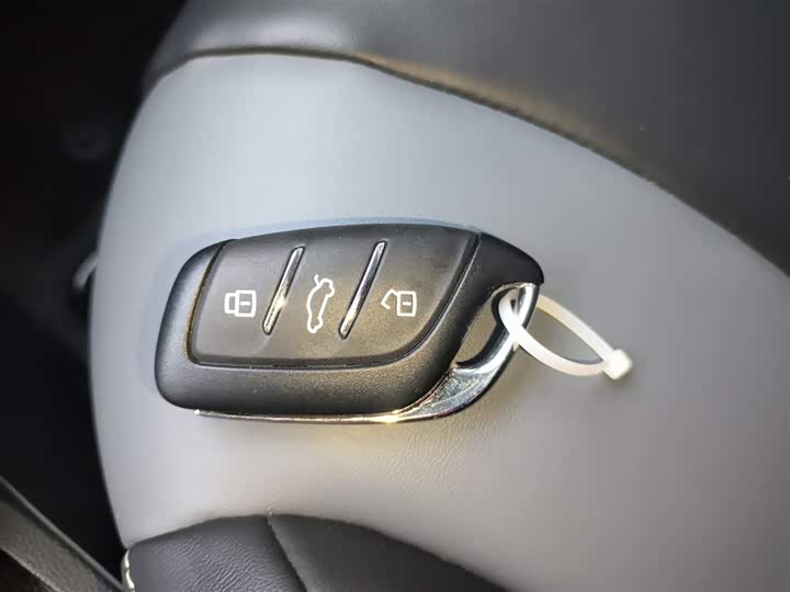 Roewe Clever 2022 2022款 311km元气啵啵版