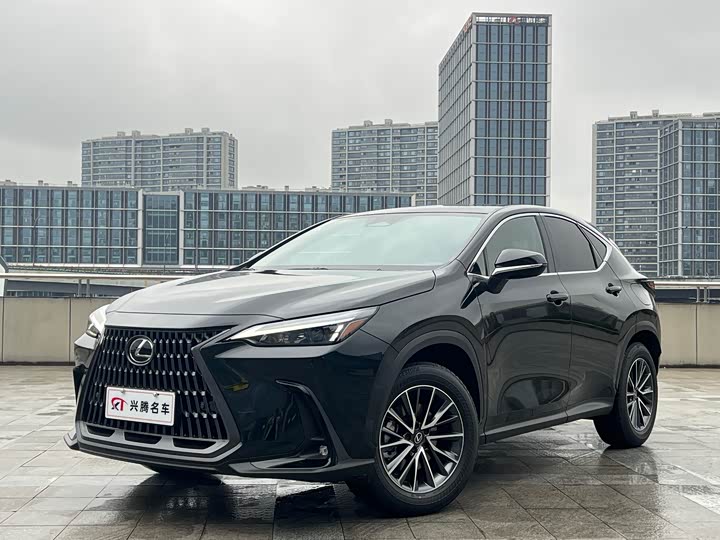 2025 Lexus NX