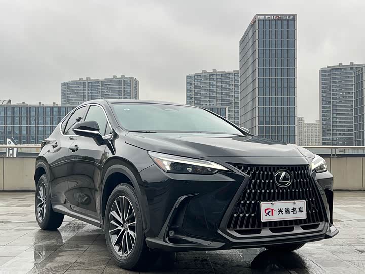 2025 Lexus NX