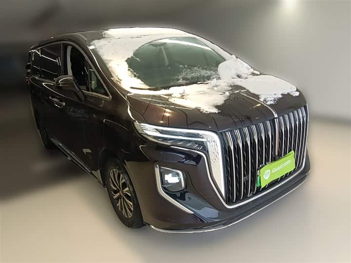 Hongqi HQ9 Hybrid 2024 2024款 2.0T 四驱商务版