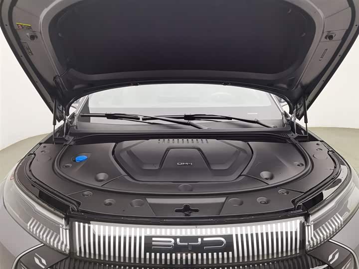 BYD Frigate 07 2023 2023款 DM-i 100KM 尊贵型