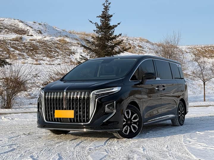 Hongqi HQ9 2023 2023款 2.0T 智联旗悦版