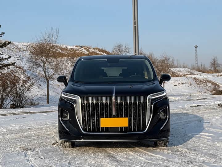 Hongqi HQ9 2023 2023款 2.0T 智联旗悦版