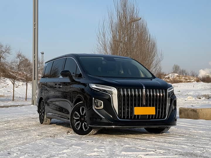 Hongqi HQ9 2023 2023款 2.0T 智联旗悦版