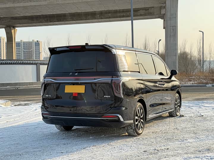 Hongqi HQ9 2023 2023款 2.0T 智联旗悦版