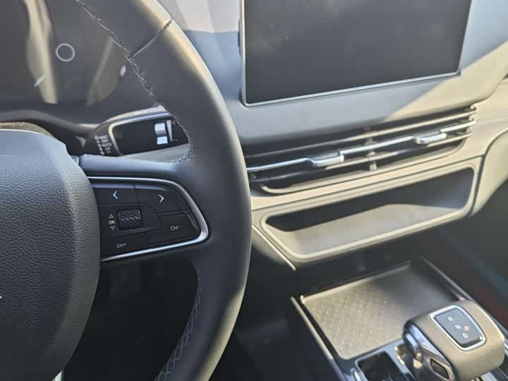 Hongqi E-QM5 2024 2024款 610km PLUS