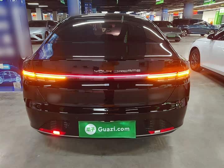 BYD Destroyer 05 2024 2024款 荣耀版 DM-i 55KM 豪华型