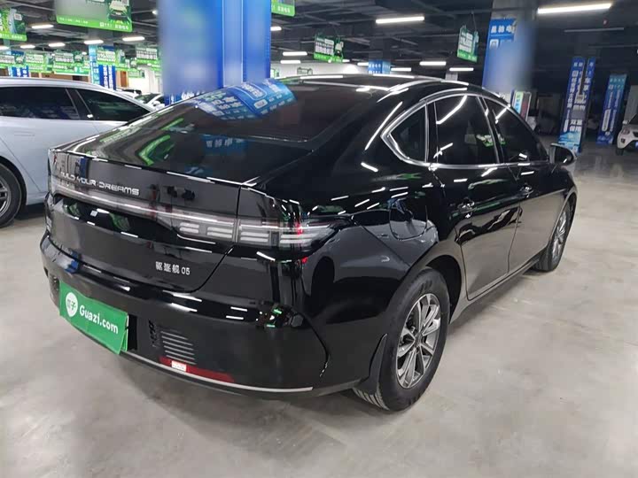 BYD Destroyer 05 2024 2024款 荣耀版 DM-i 55KM 豪华型