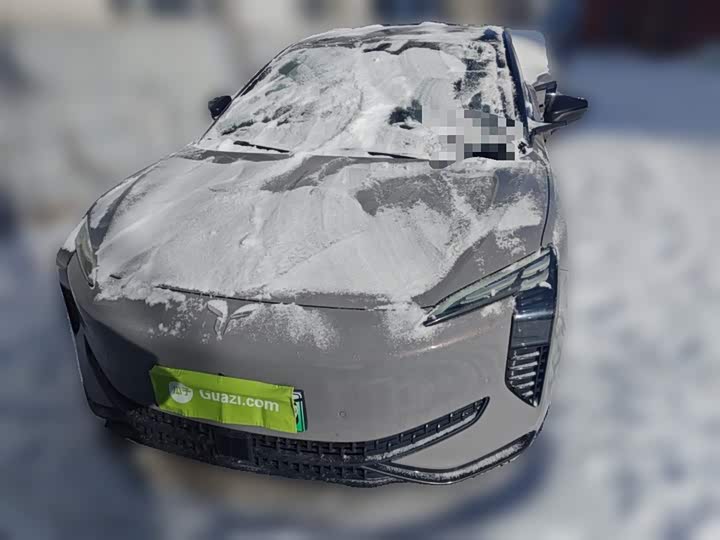 Hongqi EH7 2024 2024款 690 Pro