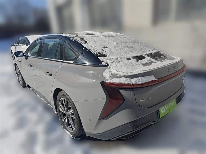 Hongqi EH7 2024 2024款 690 Pro