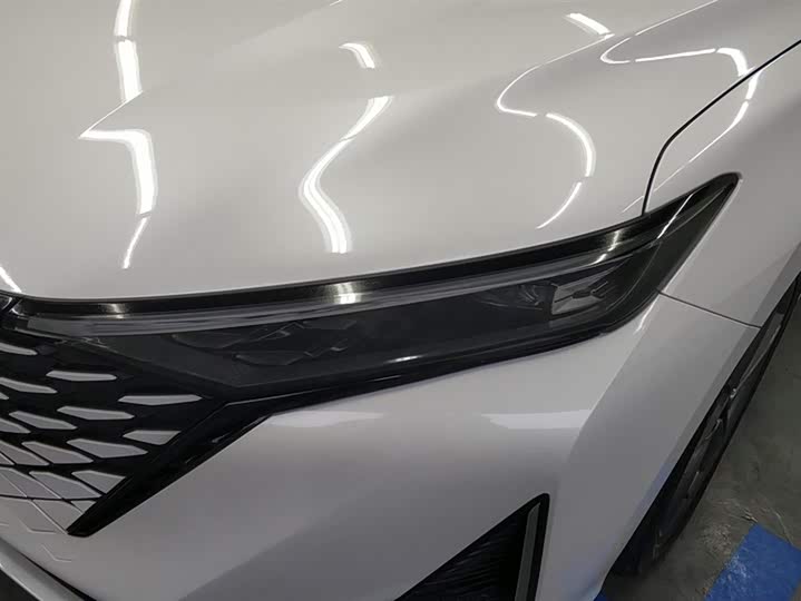 Changan Raeton Plus 2023 2023款 1.5T DCT尊贵型